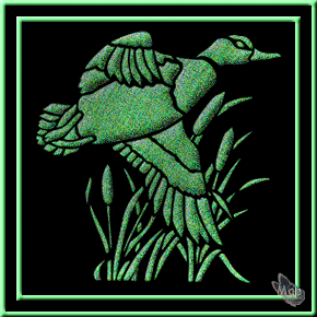 Désoler